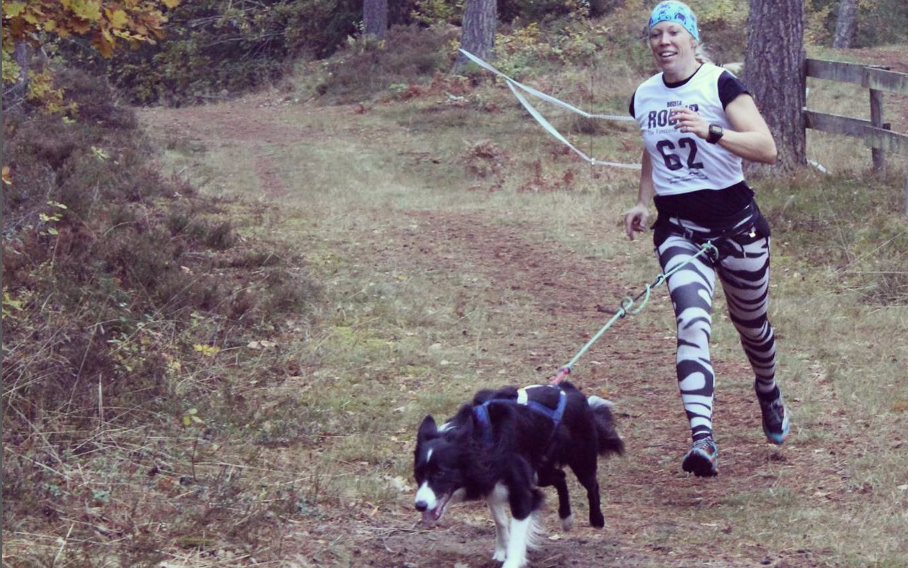 Människa som springer med hund